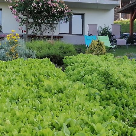 Apartma Na Ravnicah Cerkno Exterior foto