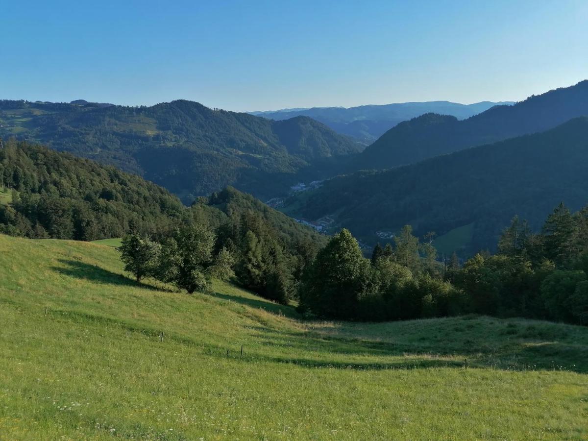 Apartma Na Ravnicah Cerkno Exterior foto