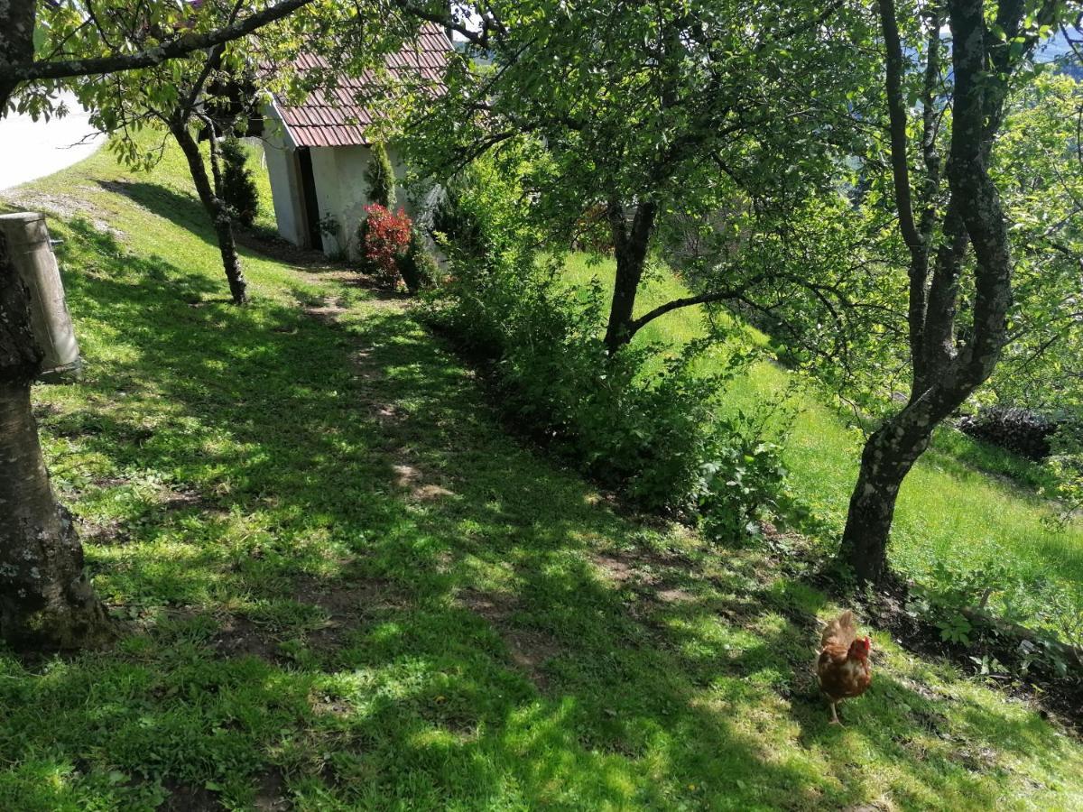 Apartma Na Ravnicah Cerkno Exterior foto