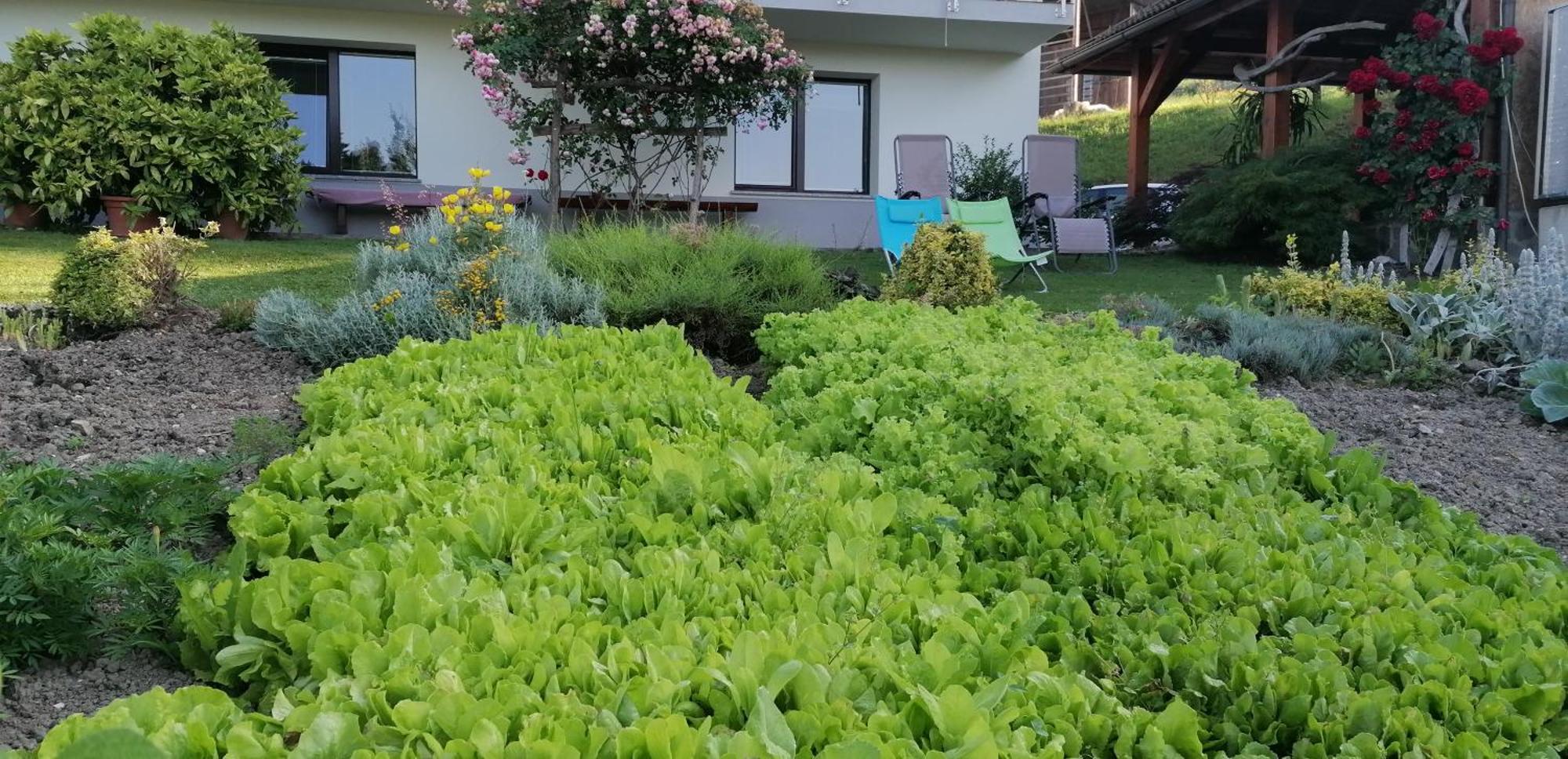 Apartma Na Ravnicah Cerkno Exterior foto